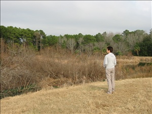 020127 hilton head etc IMG_0211.jpg
